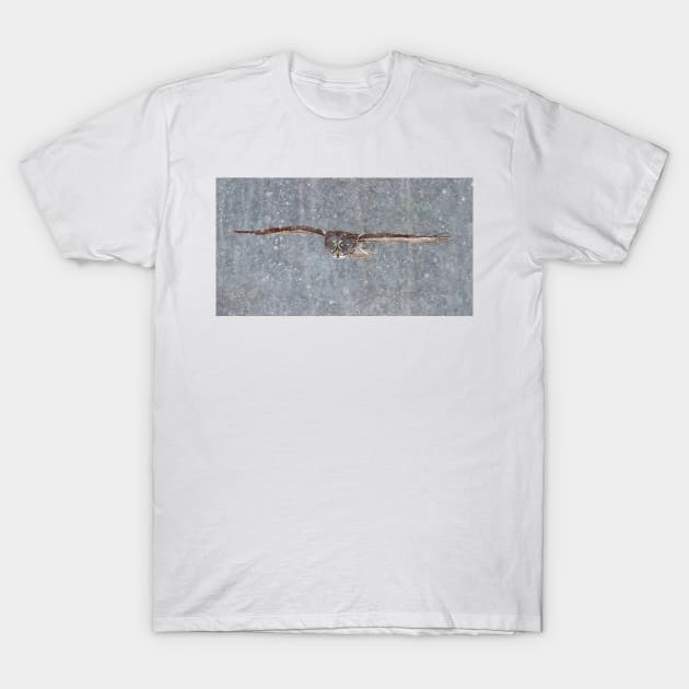 Snowfall - Great Grey Owl T-Shirt by Jim Cumming